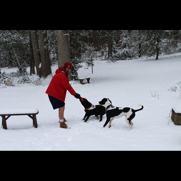 Meet your Posher, Devin - Picture 1 of 1